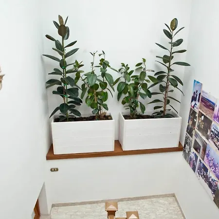 A Casa Di Pablo Frühstückspension
